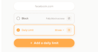 Daily limit interface